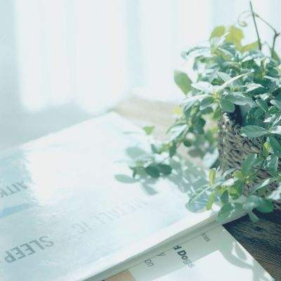 日本研究显示一种橄榄叶提取成分有抗抑郁功效