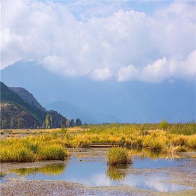 千城胜景｜新疆吉木萨尔县：湿地公园生态美